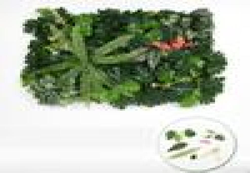 Green Monstera Artificial Boxwood Hedge Covers Fern Plants Wall Panel Leaf Fence Greenery Hanging Fake Plant Decor Decorative Flow4845242, Style 14
Green Monstera Artificial Boxwood Hedge Covers Fern Plants Wall Panel Leaf Fence Greenery Hanging Fake Plant Decor Decorative Flow4845242, Style 14
