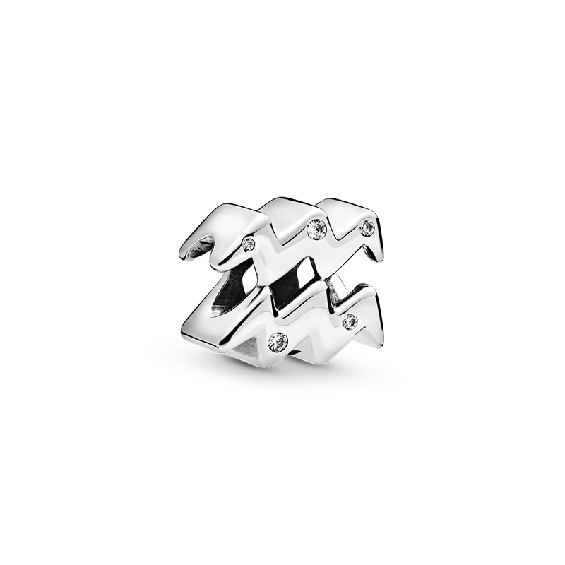 925 Sterling Silver Dangle Charm Silver Plated Bead 12 Constellations Leo Capricorn Virgo Aquarius Bead Fit Charms Bracelet DIY Jewelry Accessories