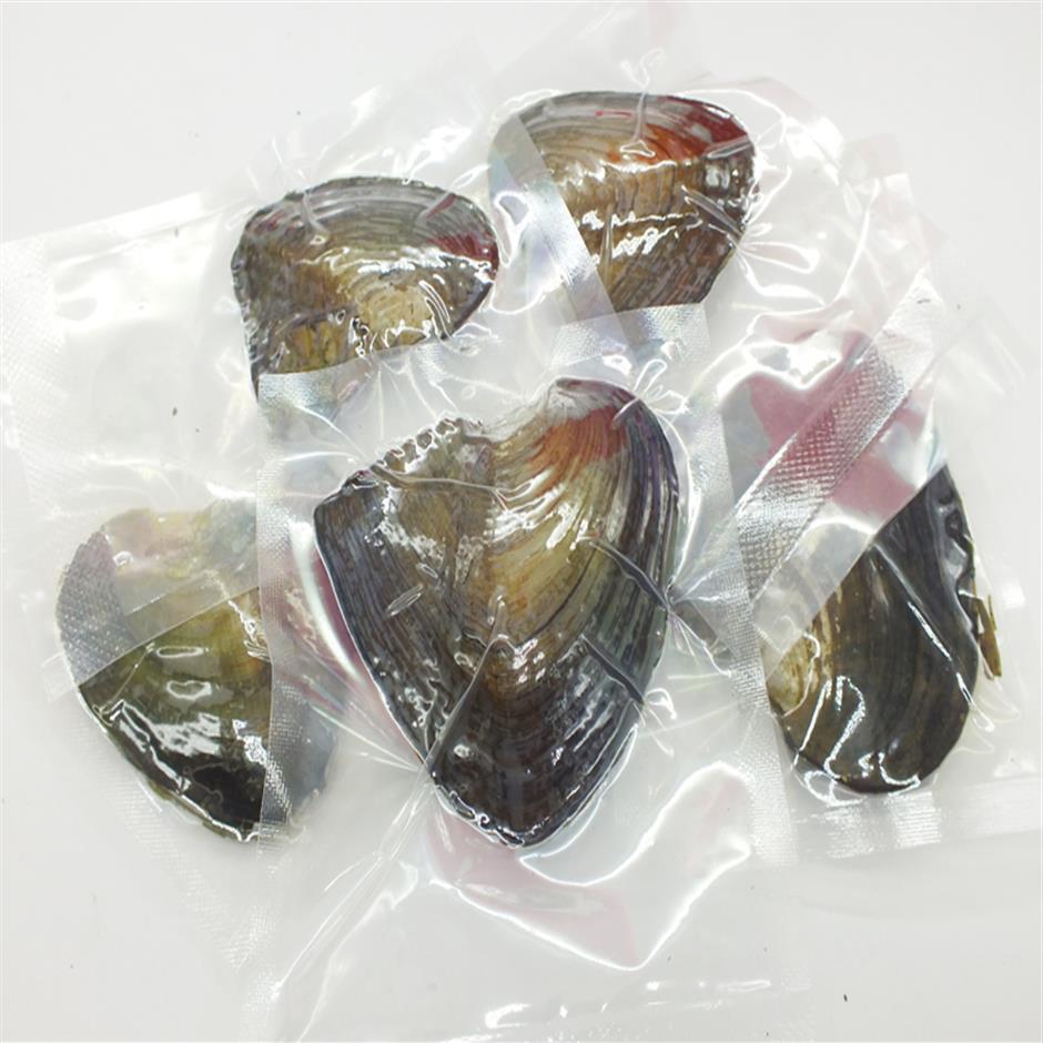 1PCS Vacuum Packaging 6-7mm 4A Rice Grain Natural Freshwater Pearl Oyster buy Random give pearl cage gift2795
1PCS Vacuum Packaging 6-7mm 4A Rice Grain Natural Freshwater Pearl Oyster buy Random give pearl cage gift2795