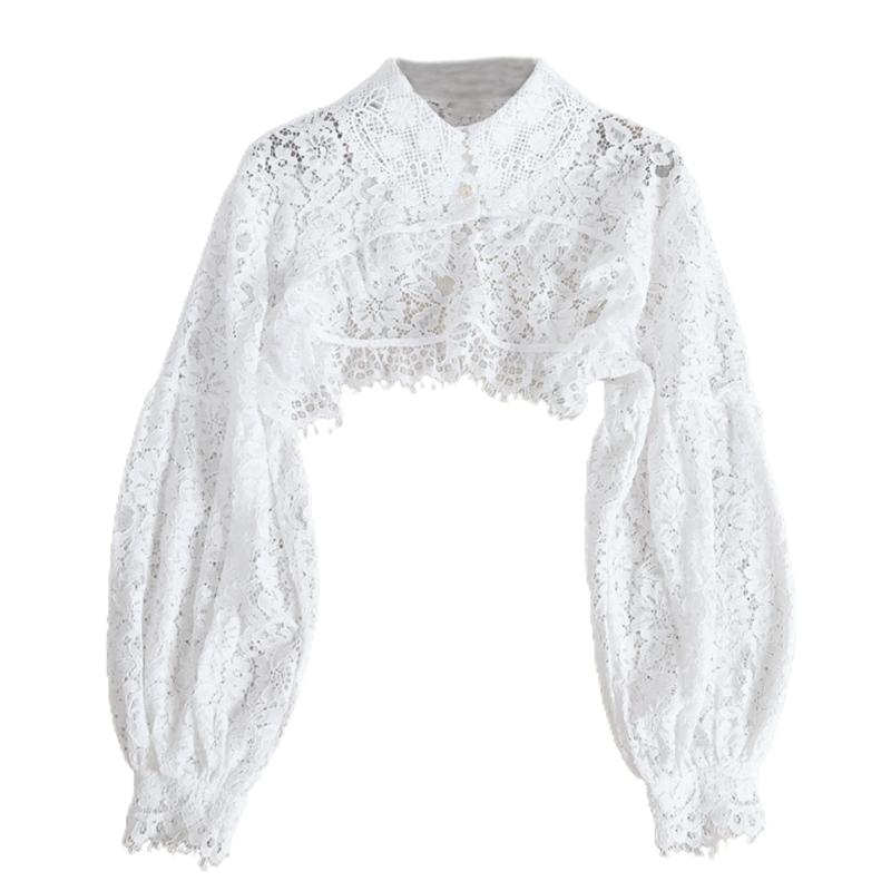 Women's Blouses & Shirts Women Puff Long Sleeve Lapel Half Top Eyelash Floral Lace Detachable Fake Collar Dickey Necklace Sweater Decorative, White
Women's Blouses & Shirts Women Puff Long Sleeve Lapel Half Top Eyelash Floral Lace Detachable Fake Collar Dickey Necklace Sweater Decorative, White