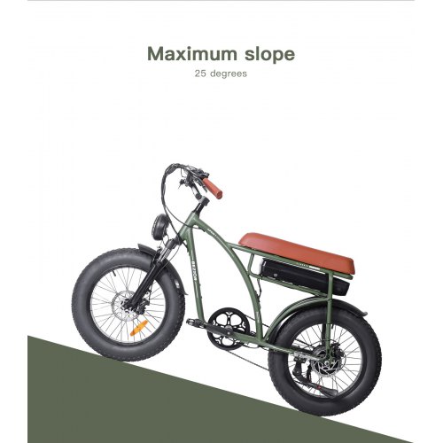 Bezior XF001 Electric Bicycle 48v12 5Ah Battery 100W(The Logistics Price Pls Contact Us)