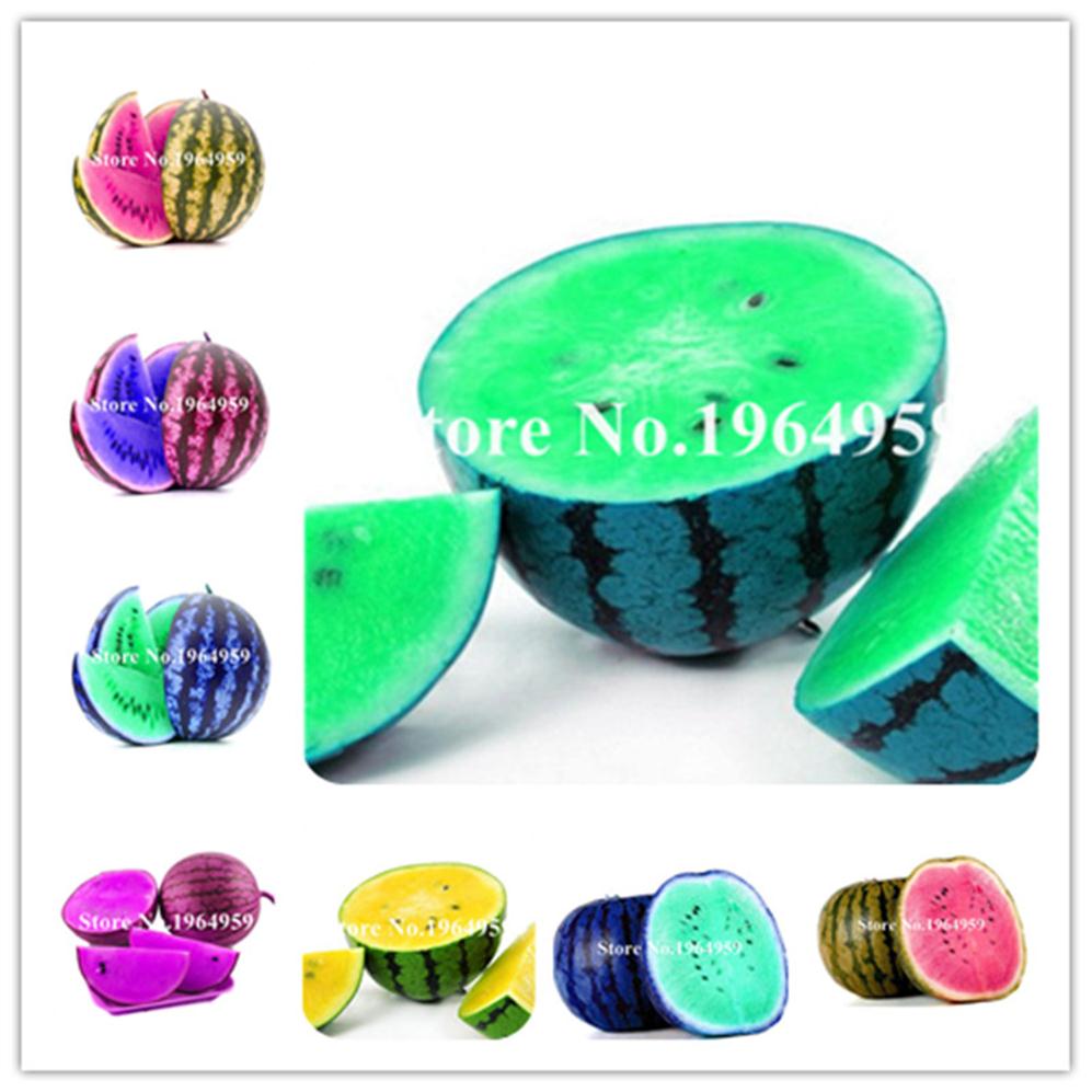 50 Pcs seeds Watermelon Melon Bonsai Fruit Plant Variety Fresh Cool Summer Plant For Home Garden Color Easy-Growing Natural Growth288x
50 Pcs seeds Watermelon Melon Bonsai Fruit Plant Variety Fresh Cool Summer Plant For Home Garden Color Easy-Growing Natural Growth288x
