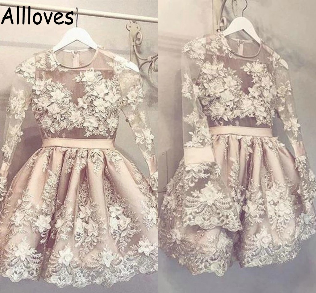 Handmade Floral Lace Short Party Dresses Illusion Long Sleeves Sheer Neck Appliques Beaded Mini Cocktail Dress Plus Size Arabic Aso Ebi Vestidos De Festa CL0407, Pink
Handmade Floral Lace Short Party Dresses Illusion Long Sleeves Sheer Neck Appliques Beaded Mini Cocktail Dress Plus Size Arabic Aso Ebi Vestidos De Festa CL0407, Pink