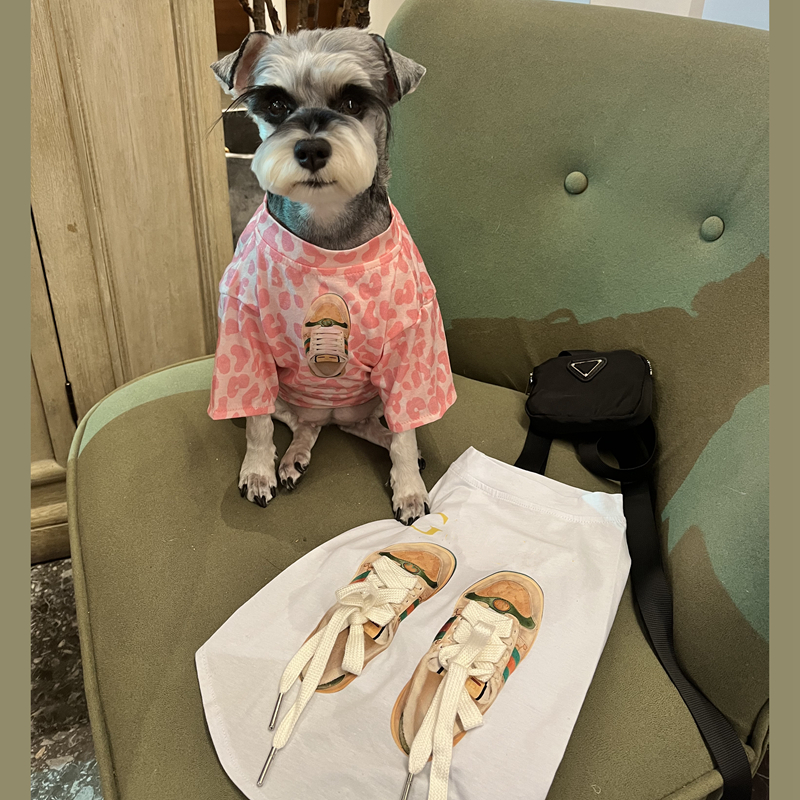 free shipping Designer Clothes Fashion Dog Apparel Sublimation Printing ic Letters Interesting Shoes Pet T-shirt for Small Dogs Schnauze Yorkie Poodle