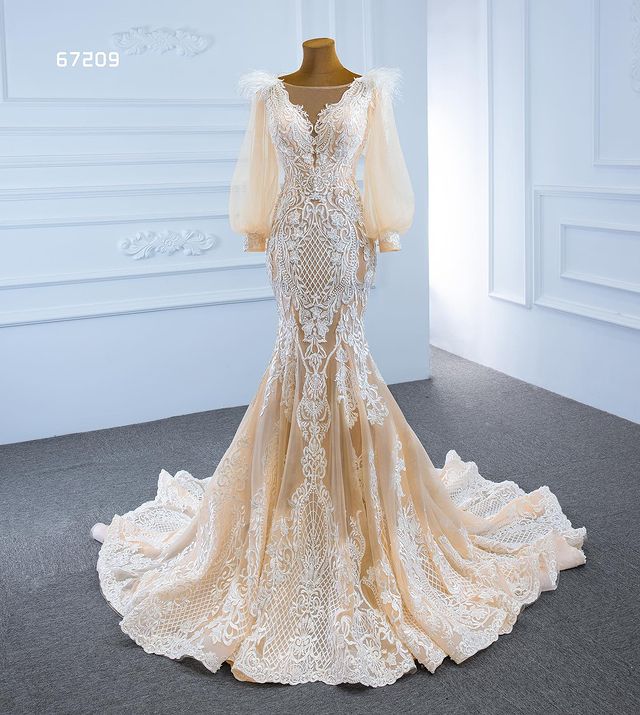 Champagne Mermaid Long Sleeve Wedding Dresses 2022 Real Work Feather Applique Lace-up Corset Sweep Train Bridal Gown Vestido