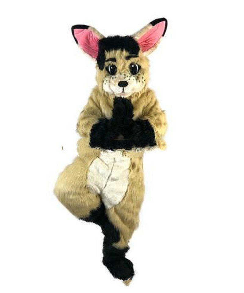 Mascot doll costume Wholesale Adult Character Brown Rabbit Mascot Costumes For Christmas Adults Fancy Dress Character Clothing
Mascot doll costume Wholesale Adult Character Brown Rabbit Mascot Costumes For Christmas Adults Fancy Dress Character Clothing