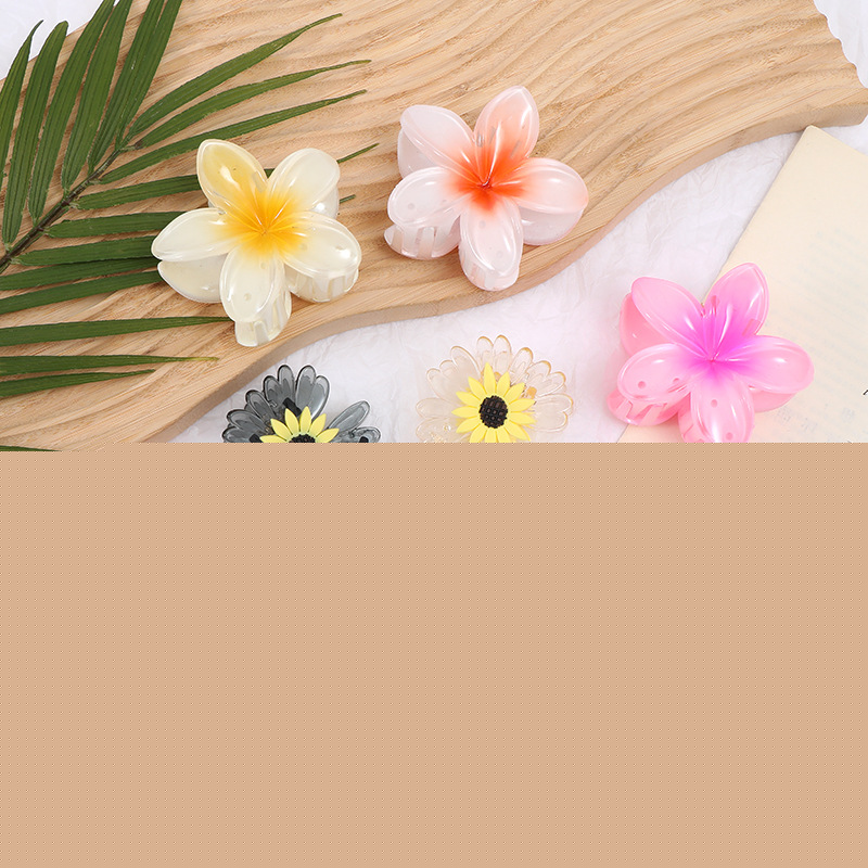 Spring Summer Cute Extra Large 8cm Gradient Color Flower Hair Claws Clip Plastic Plumeria Flower Practical Beautiful Hair Claw
Spring Summer Cute Extra Large 8cm Gradient Color Flower Hair Claws Clip Plastic Plumeria Flower Practical Beautiful Hair Claw