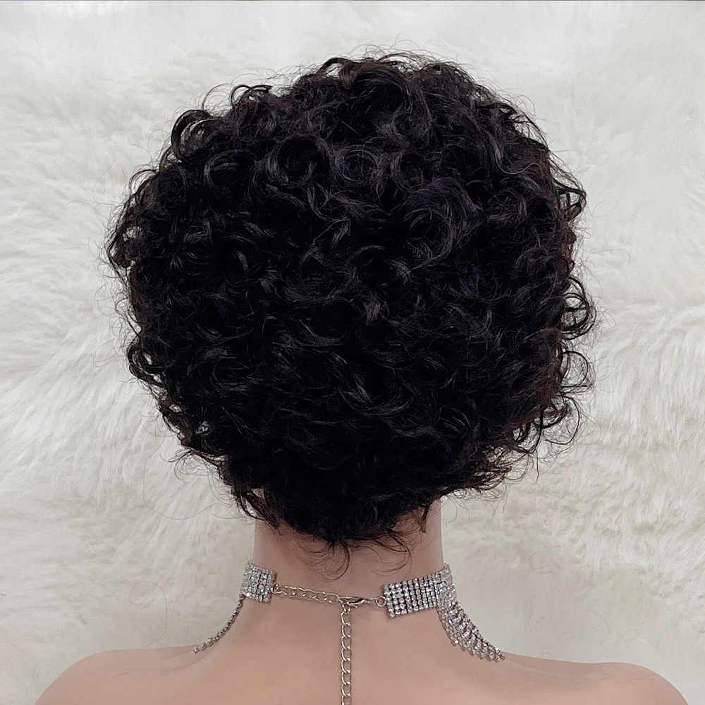 Short Curly Front Wig Brazilian Water Wave Human Hair Pixie Cut Transparent Lace Closure Wigs For Black Women