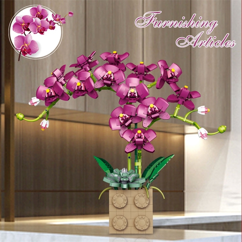 Building Block Flower Orchid Series Bonsai Girl Build Toy Flowers Adult Flower Arrangement Assembly Toys For Gifts 220719
Building Block Flower Orchid Series Bonsai Girl Build Toy Flowers Adult Flower Arrangement Assembly Toys For Gifts 220719