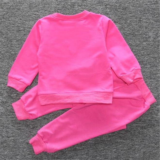 Spring Autumn Kids Girls Baby Clothes Set Flower Long Sleeve Sweatshirt Tops + Pants 2PCS Suits Outfits Childrens Clothing