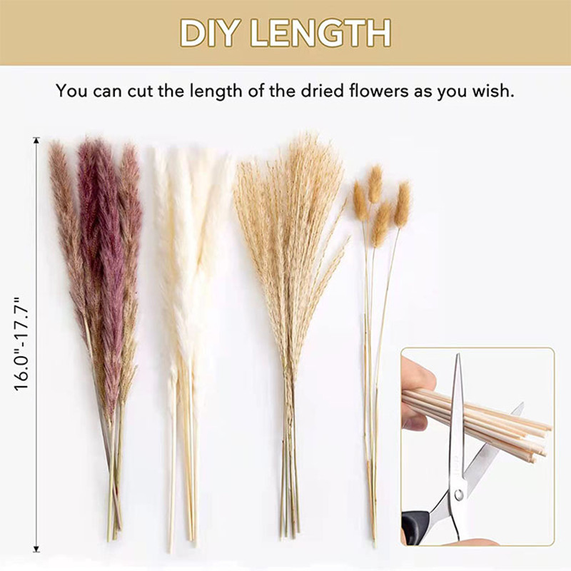 80PCS Natural Dried Flowers Pampa Grass Bouquet Boho Home Decor PhragmitesWedding Ramadan Decoration Mariage Flores Secas2312093