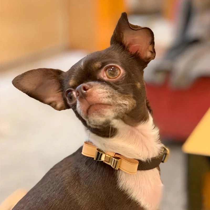 Designer Collars Leash set, Soft Padded Leather Dog Bow, Custom Heavy Duty Collar with Metal Hardware, Durable & Comfortable for Small Medium Dog-XL