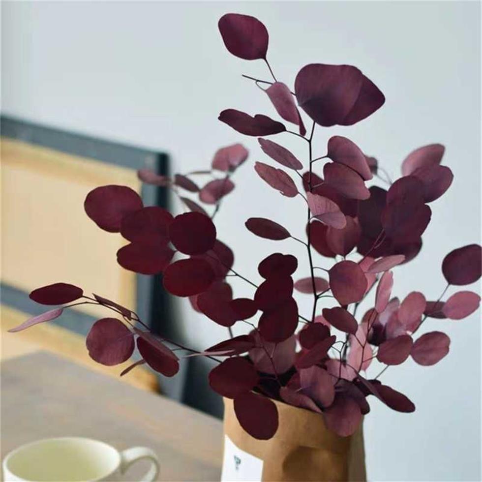 110glotNatural Preserved Eucalyptus Leaves Bouquet Eternal Dried Flower for Wedding Home Decoration accessoriesDisplay Flower 7959254
