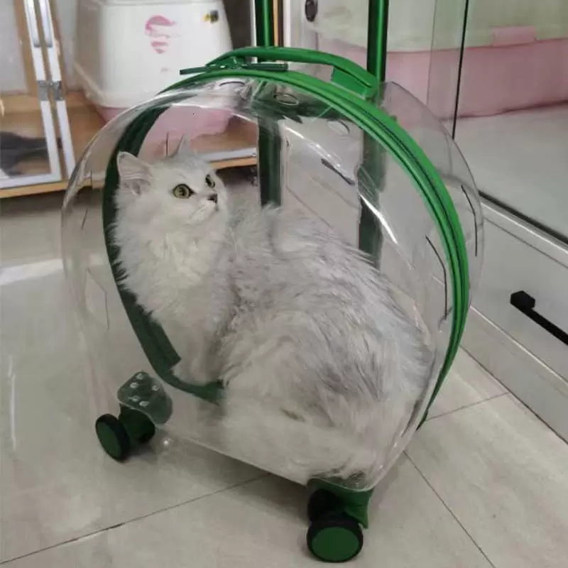 Backpack Bag Acrylic Cat Outdoor Travel Space Capsule Backpack Portable Pet Trolley Case
Backpack Bag Acrylic Cat Outdoor Travel Space Capsule Backpack Portable Pet Trolley Case