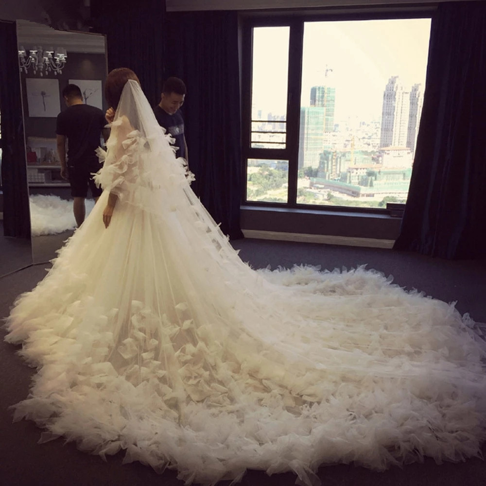 Wedding Veil Blusher Soft Tulle Veils 2 tier Cathedral Length Bride 3M 5M Flowers Veil with comb Bridal Veu de
