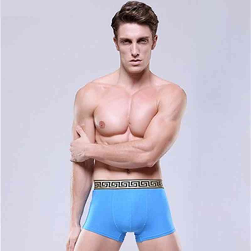 Brand Designer Men039s Sexy Underwear Quality Cotton 4pcslot Men Breathable Underwear Branded Boxers Underwear Asian Size L TO5211518