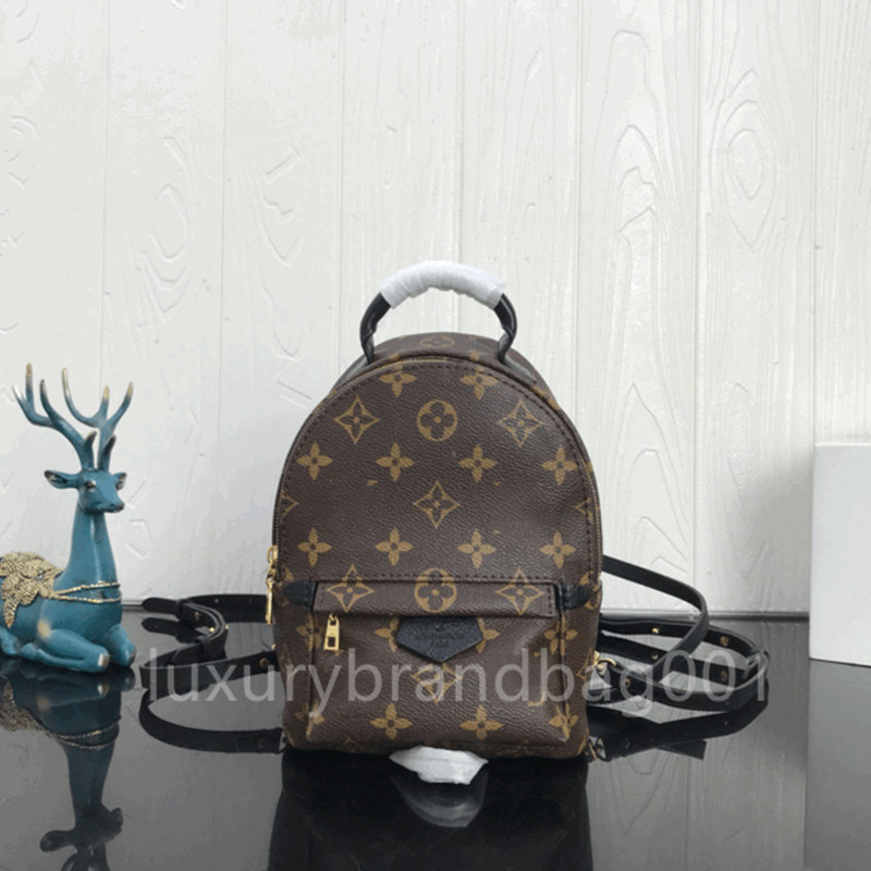 LVs YSLs louiseity viutonity VUTTONS Designers Luxury Women PALM SPRINGS Mini Backpack Handbags Luxurys Shoulder Bags Designers Travel backpack Bag, Brown grid