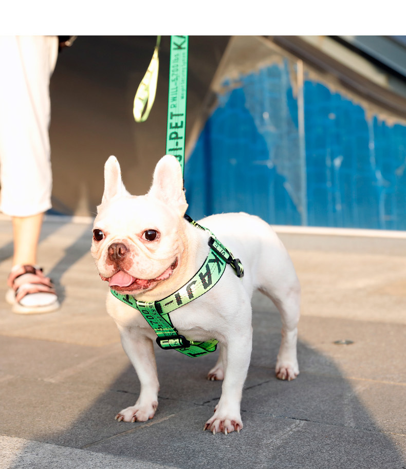 Step in Dog Harness and Leashes Set for Small Medium Large Dogs Jacquard Letter Pattern Nylon Pet Collar Training Walking of Your Puppy 5 Color Wholes