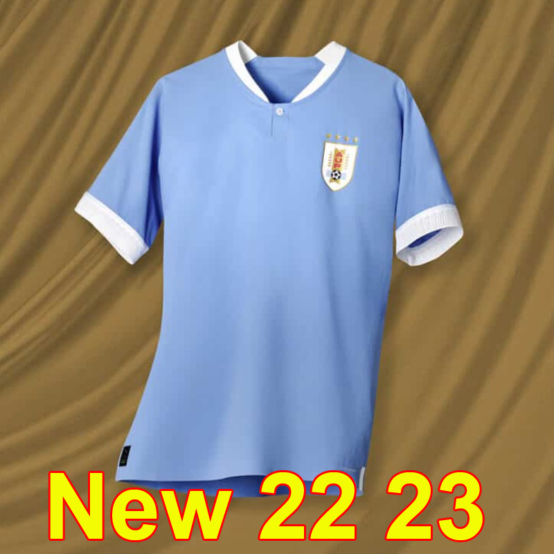 2022 2023 Uruguay Suarez De Arrascaeta soccer jerseys 22 23 R Araujo home away Bentancur E.Cavani D.Godin D.NUnez M Gomez Gimenez men kids sets Football shirts Uniforms, Kids 23 home
2022 2023 Uruguay Suarez De Arrascaeta soccer jerseys 22 23 R Araujo home away Bentancur E.Cavani D.Godin D.NUnez M Gomez Gimenez men kids sets Football shirts Uniforms, Kids 23 home