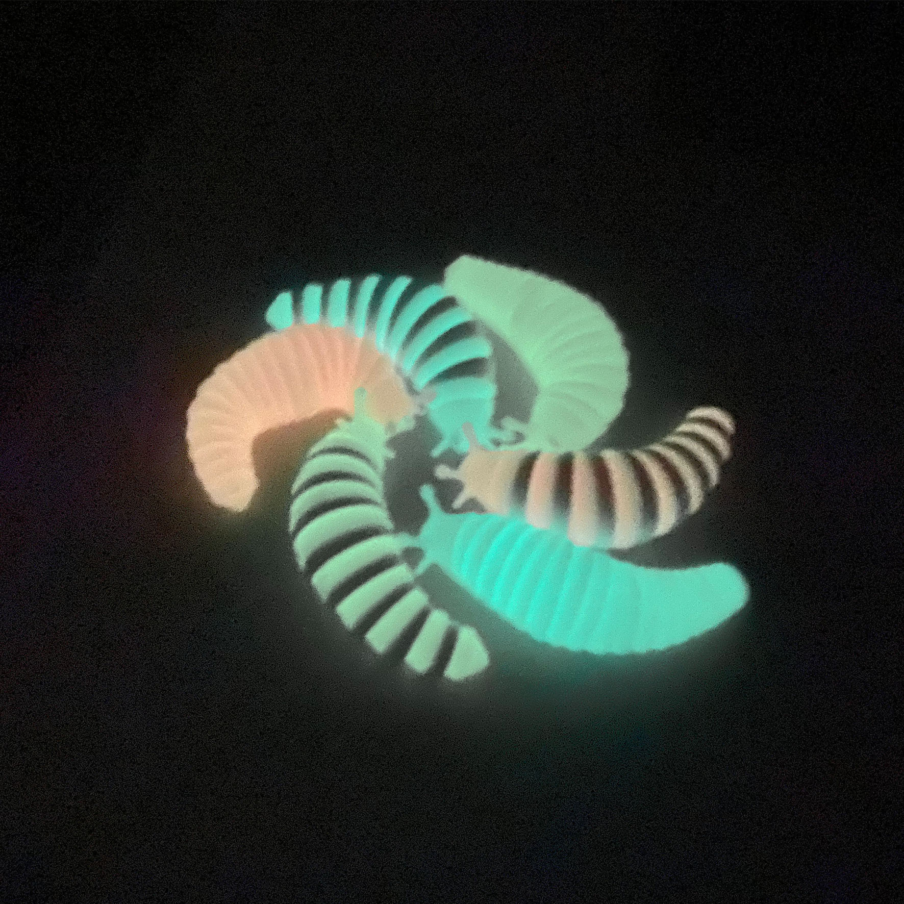 Fidget Slug Luminous Caterpillar Decompression Toy Flexible Articulating Stim Articulated Stretch Fidgets Sensory Toys for Autistic Children Adults Game
Fidget Slug Luminous Caterpillar Decompression Toy Flexible Articulating Stim Articulated Stretch Fidgets Sensory Toys for Autistic Children Adults Game