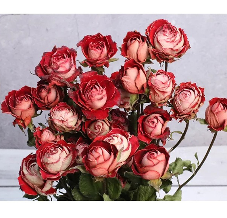 Natural Dried Flower Rose Bouquet Wedding Christmas Family Party Environment Beautification Home Decoration Flower Arrangement