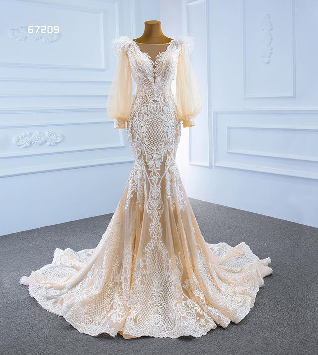 Champagne Mermaid Long Sleeve Wedding Dresses 2022 Real Work Feather Applique Lace-up Corset Sweep Train Bridal Gown Vestido