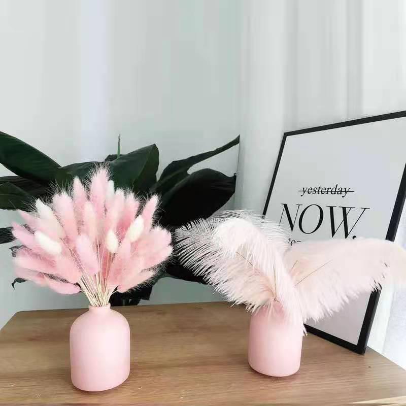Decorative Flowers & Wreaths Dried Flower Pampas Grass Pink Plume Bohemian Nordic Decornatural Room Decor Wedding Supplies Art Table Centerp, 20psc
Decorative Flowers & Wreaths Dried Flower Pampas Grass Pink Plume Bohemian Nordic Decornatural Room Decor Wedding Supplies Art Table Centerp, 20psc
