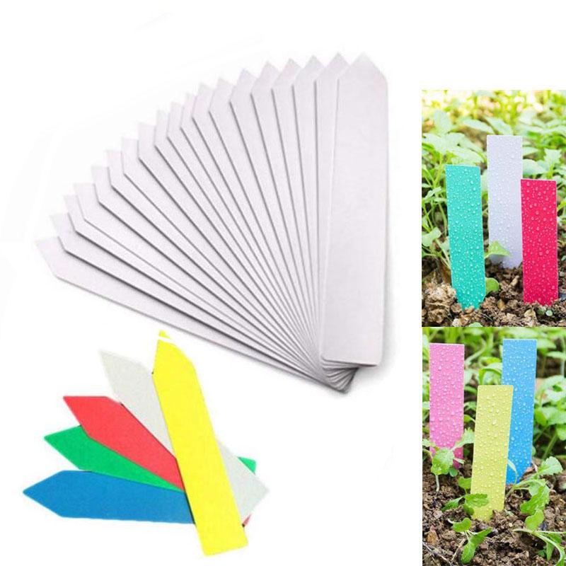 Other Garden Supplies 50pcs 100pcs Reusable PVC Plants Labels Hang Tag Tree Fruits Flower Pot Waterproof Markers Sign Tools Label
Other Garden Supplies 50pcs 100pcs Reusable PVC Plants Labels Hang Tag Tree Fruits Flower Pot Waterproof Markers Sign Tools Label