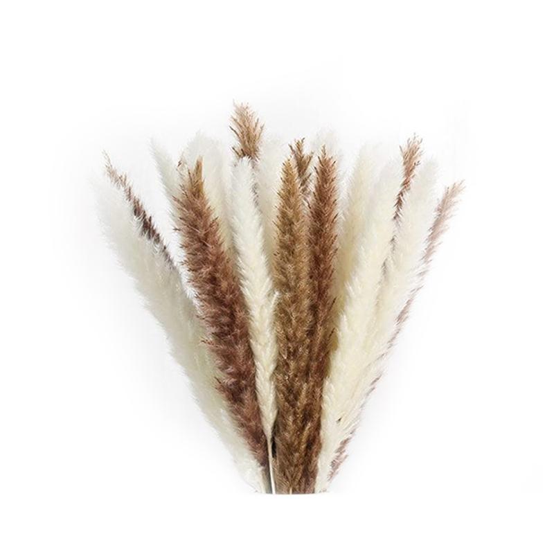 Decorative Flowers & Wreaths 70 Pieces Of Natural Dried Pampas For Flower Arrangements Boho Wedding Party Home Decor, As shown
Decorative Flowers & Wreaths 70 Pieces Of Natural Dried Pampas For Flower Arrangements Boho Wedding Party Home Decor, As shown