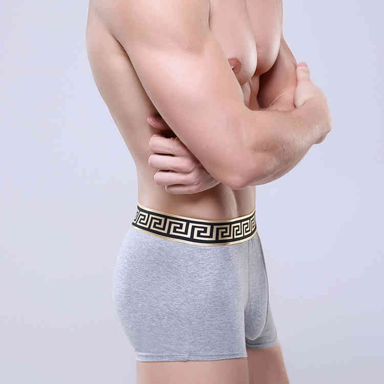 Brand Designer Men039s Sexy Underwear Quality Cotton 4pcslot Men Breathable Underwear Branded Boxers Underwear Asian Size L TO5211518