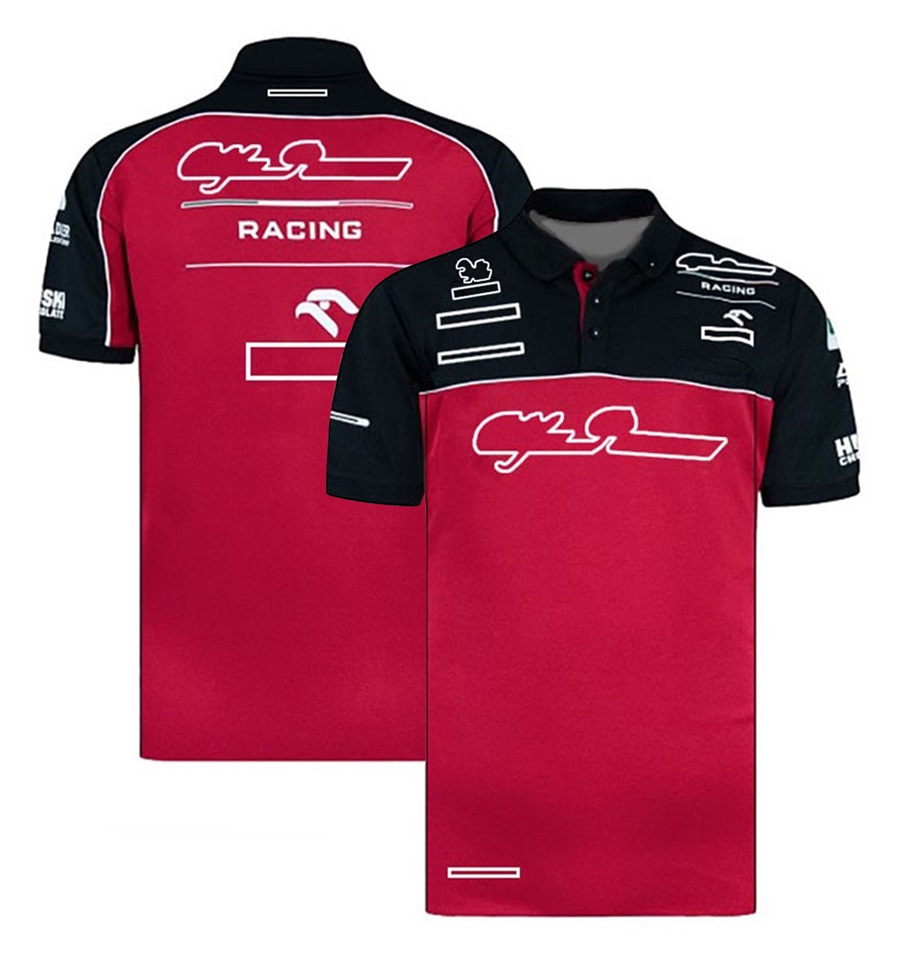 2022-2023 F1 T-shirt Formula 1 Team Polo Shirts Driver Racing Suit Short Sleeve Summer Oversized Car Fans T-shirts Motocross Jersey free sh