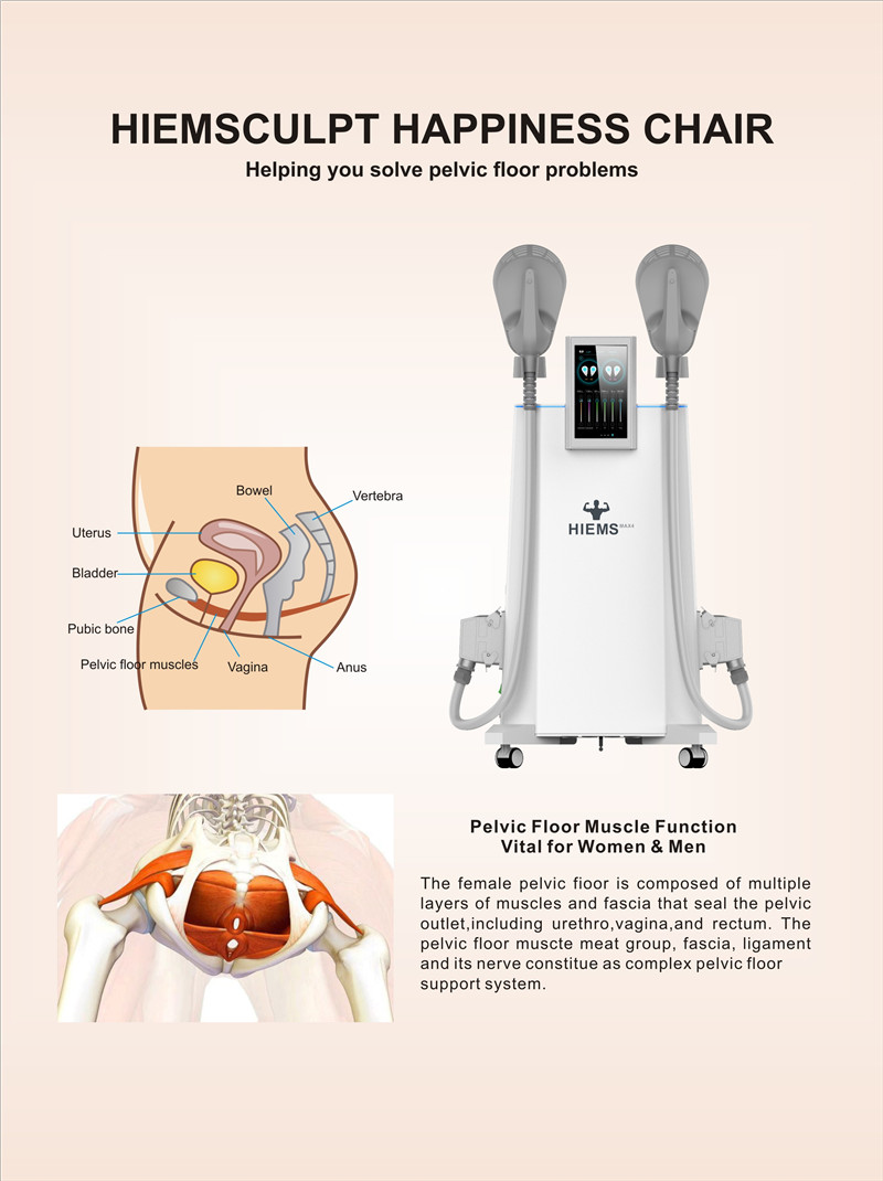 new energy enhancement 30% hi-emt Increase weight loss Health postpartum repair hi-ems muscle enhancing apparatus EMT13-3S-MAX4
new energy enhancement 30% hi-emt Increase weight loss Health postpartum repair hi-ems muscle enhancing apparatus EMT13-3S-MAX4