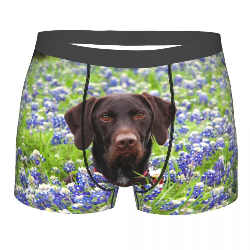 Underpants Underwear Men Boxers Labrador In Flower Field Sexy Boxer Male Panties Boxershorts Homme, Black;white
Underpants Underwear Men Boxers Labrador In Flower Field Sexy Boxer Male Panties Boxershorts Homme, Black;white