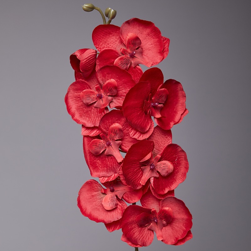 70cm Artificial Butterfly Orchid Silk Flower Wisteria Phalaenopsis 93cm Long Home Garden Party Wedding Decoration Flowers Dinner Centerpiece Decor DIY