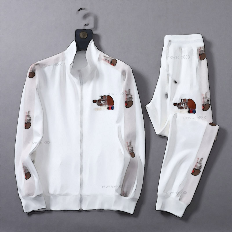 s classic printing two pieces outfits mens tracksuit sweat suits sports suit men hoodies jackets jogger sporting casual sets ytzb, 15
s classic printing two pieces outfits mens tracksuit sweat suits sports suit men hoodies jackets jogger sporting casual sets ytzb, 15