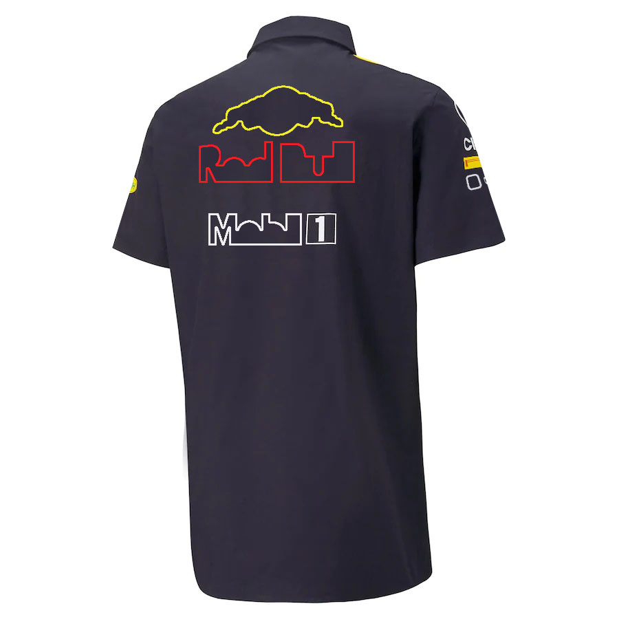 2025 new Formula 1 T-shirt F1 Team Driver Polo Shirts Short-sleeved Summer Men's Casual Racing Oversized T-shirts Fans Quick Dry Tops Tee Comfort