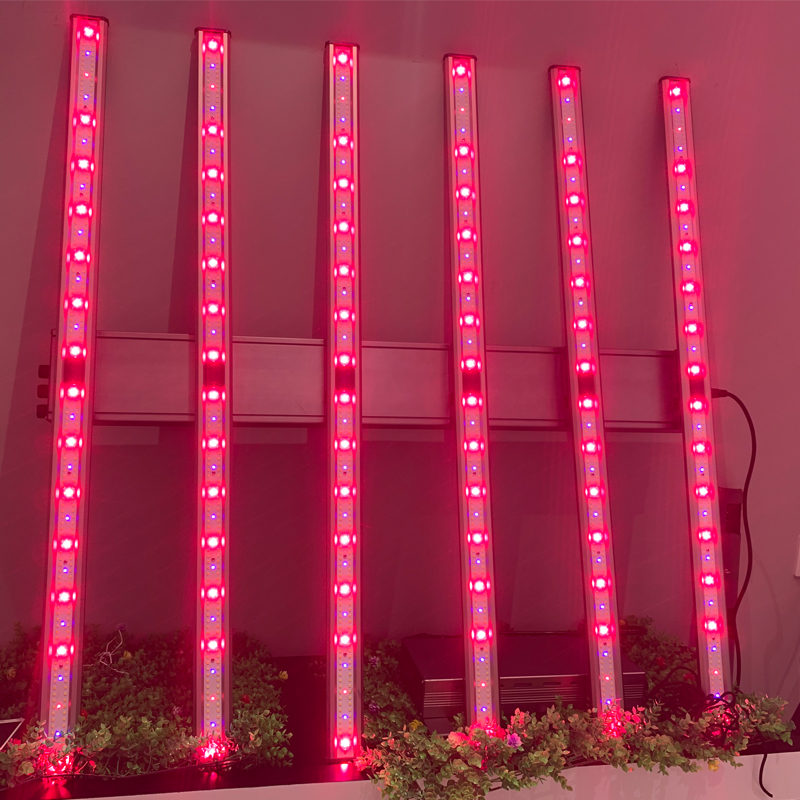 LED Grow Light Full Spectrum Samsung281B For Greenhouse Medical Plants Professional Indoor Hydroponics Phytolamp Lighting