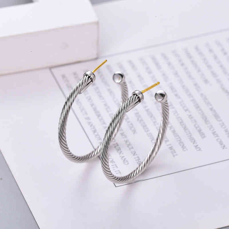 Earring Twisted Thread Earrings Women Fashion Versatile White Gold and Silver Plated Needle Twist Popular Accessories Hot Selling