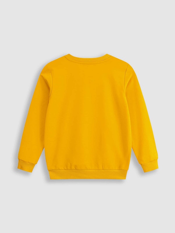 Toddler Boys Letter & Dinosaur Print Sweatshirt SHE