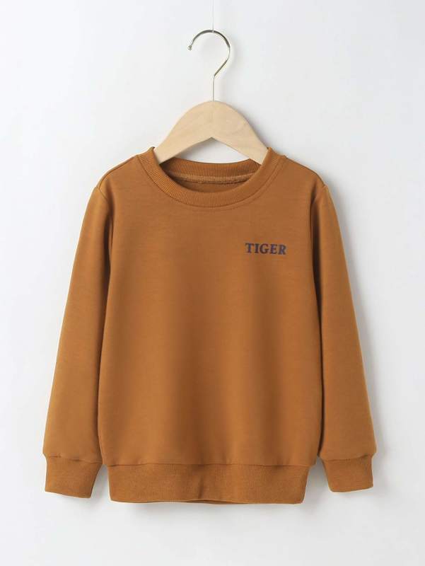 Toddler Boys Letter & Tiger Print Pullover SHE
