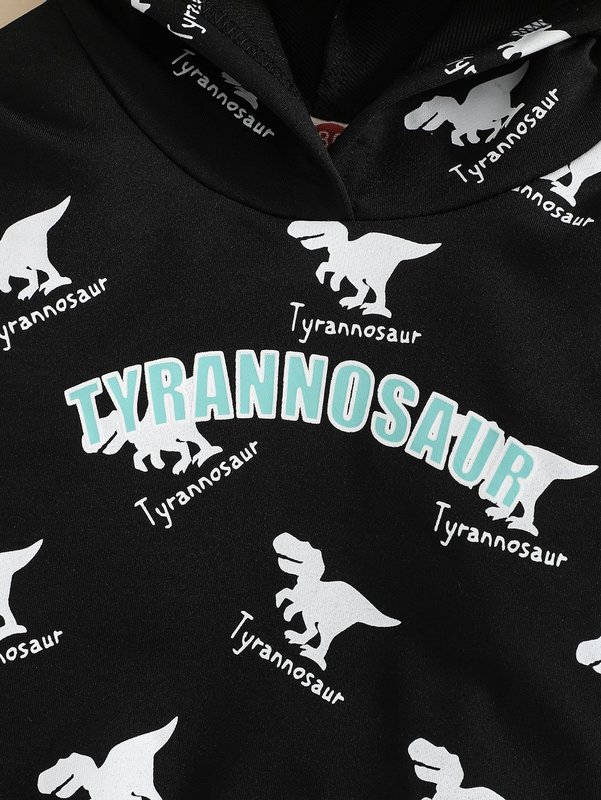 Baby Letter And Dinosaur Print Hoodie SHE