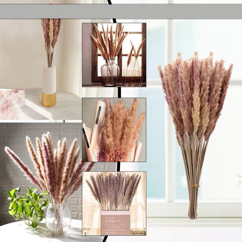 Decorative Flowers & Wreaths 15pc Dried Decoration Vases Bouquet Boho Branches Decor 25#
Decorative Flowers & Wreaths 15pc Dried Decoration Vases Bouquet Boho Branches Decor 25#