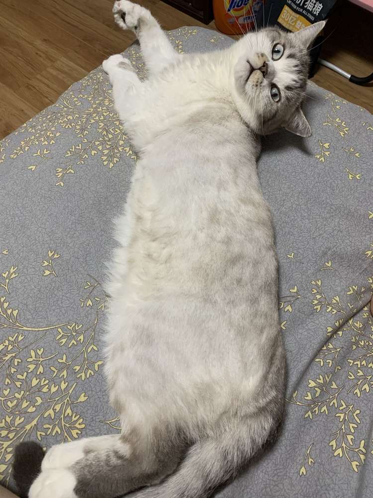 Test yuosku danbeihuo444444