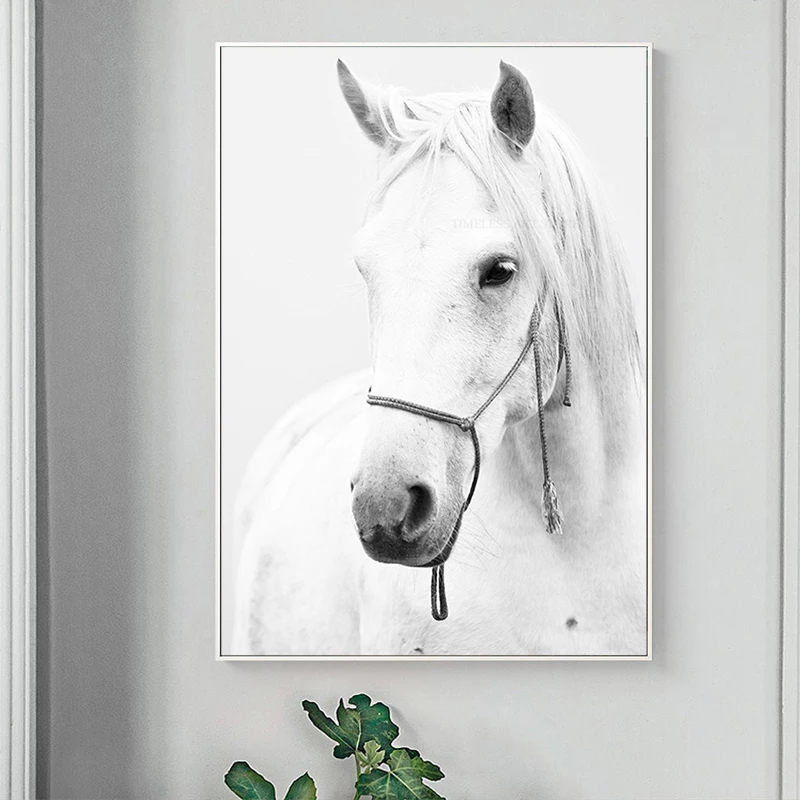 Modern White Horse Canvas Painting Nordic Animals Print and Poster Wall Art Abstract Pictures for Living Room Home Decor Cuadros
Modern White Horse Canvas Painting Nordic Animals Print and Poster Wall Art Abstract Pictures for Living Room Home Decor Cuadros