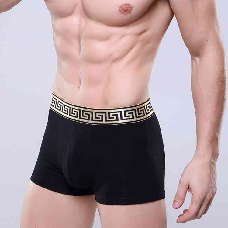 Brand Designer Men039s Sexy Underwear Quality Cotton 4pcslot Men Breathable Underwear Branded Boxers Underwear Asian Size L TO5211518