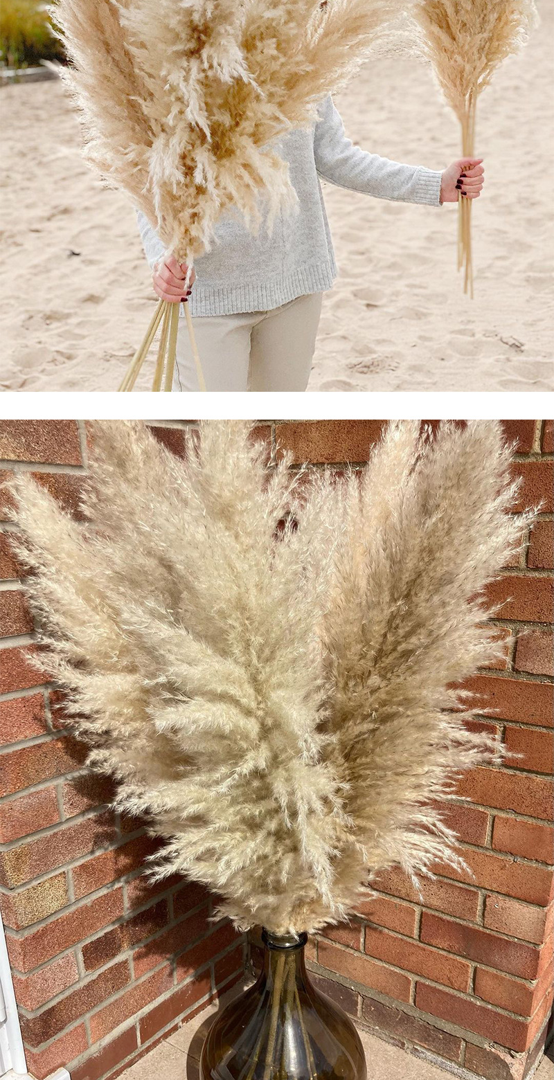 DIY white pink Real Dried Pampas Grass Decor Wedding Flower Bunch Natural Plants Fall Decor For Home Christmas gift