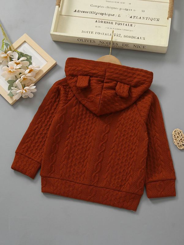 Toddler Boys Raglan Sleeve Zipper Cable Knit Hooded Jacket SHE