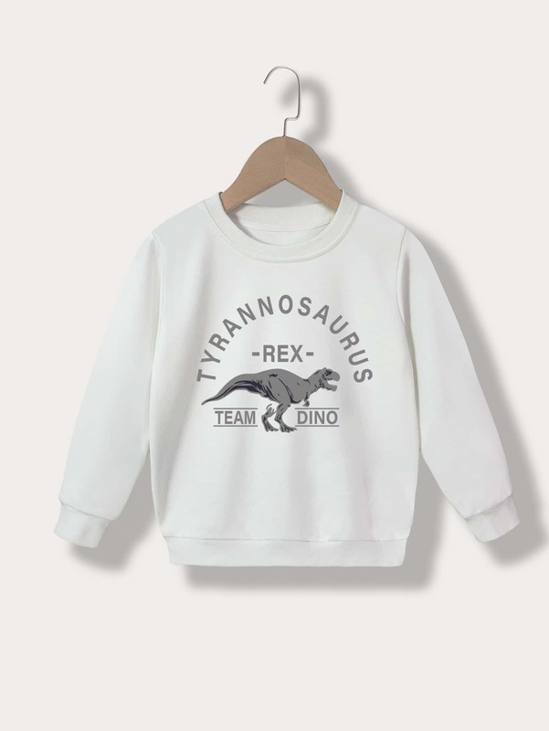 Toddler Boys Letter & Dinosaur Print Sweatshirt SHE