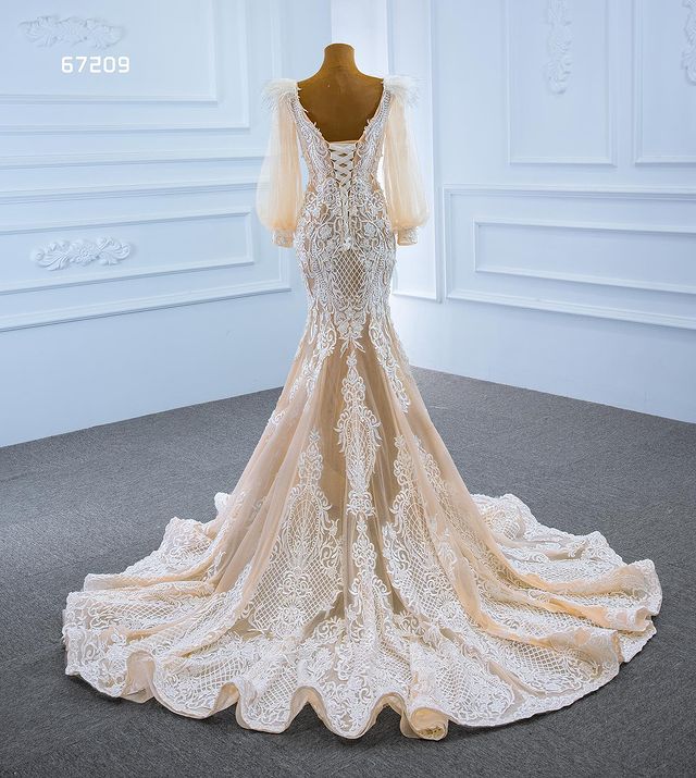 Champagne Mermaid Long Sleeve Wedding Dresses 2022 Real Work Feather Applique Lace-up Corset Sweep Train Bridal Gown Vestido