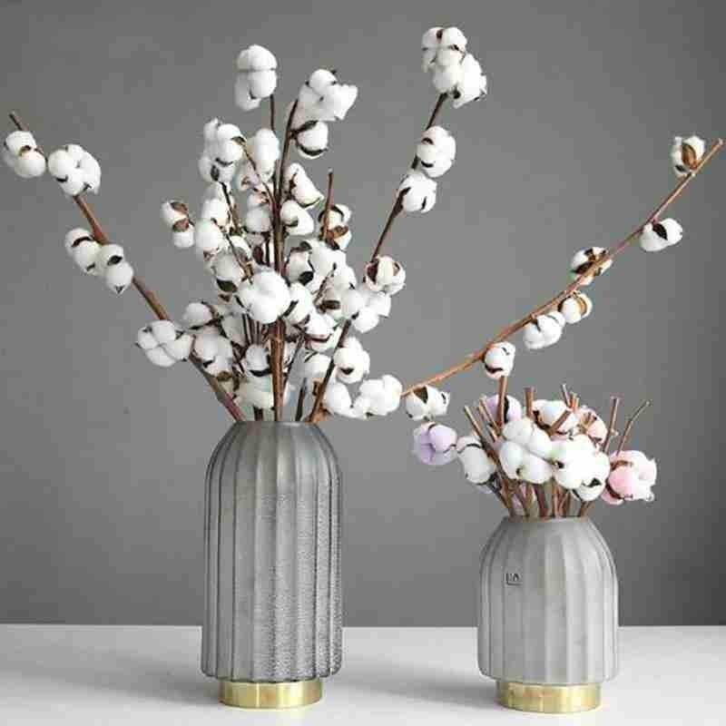 Decorative Flowers & Wreaths 1pc 7 Dried Kapok Bouquet Festive Wedding Home Decoration Flower White
Decorative Flowers & Wreaths 1pc 7 Dried Kapok Bouquet Festive Wedding Home Decoration Flower White